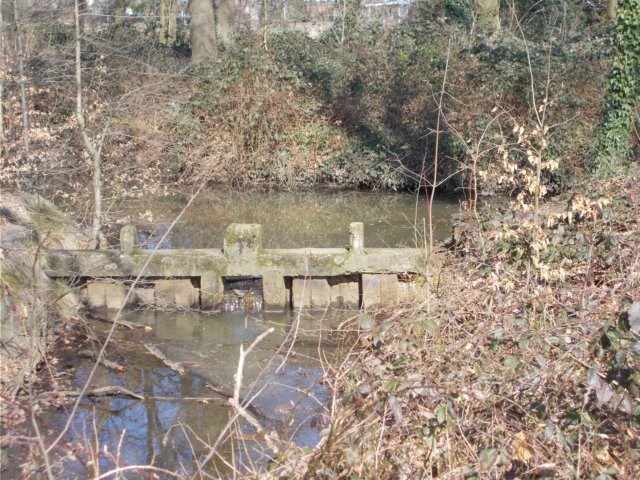 dscn1275.jpg
