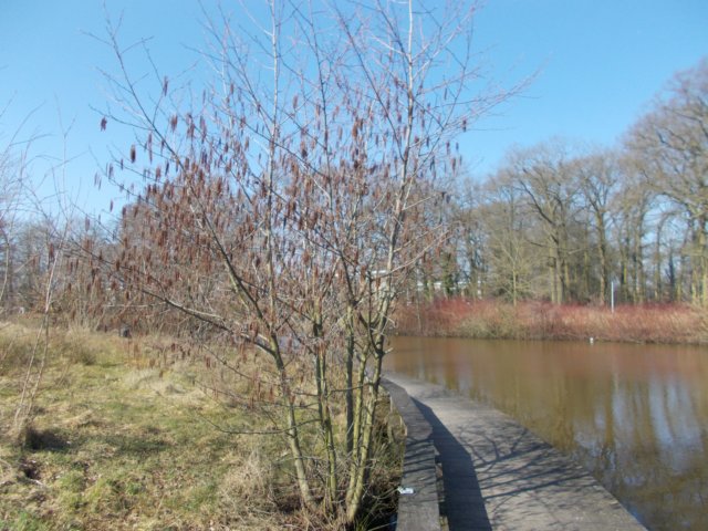 dscn1281.jpg