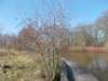 dscn1281_small.jpg