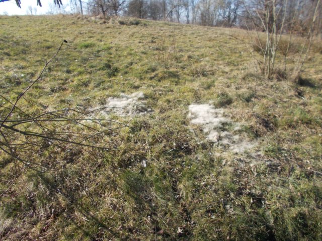 dscn1282.jpg
