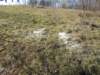 dscn1282_small.jpg