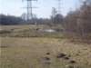 dscn1284_small.jpg