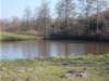 dscn1285_small.jpg