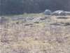 dscn1286_small.jpg