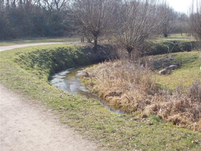 dscn1287.jpg