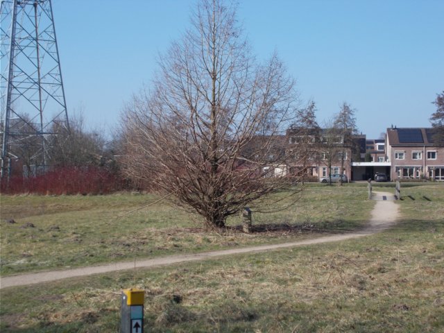 dscn1288.jpg