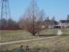 dscn1288_small.jpg