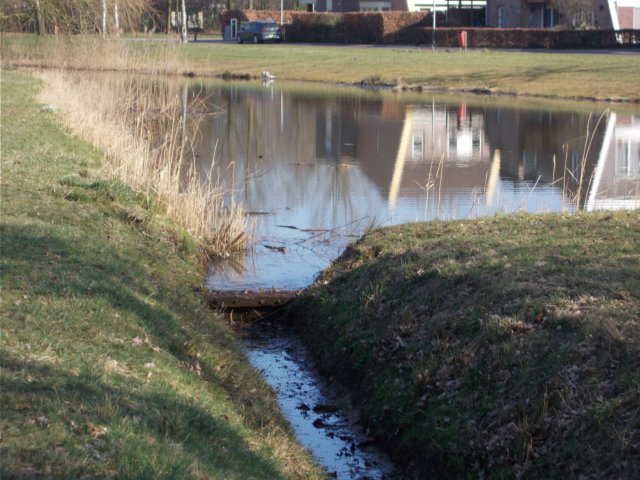 dscn1294.jpg