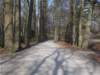 dscn1301_small.jpg