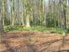 dscn1303_small.jpg