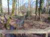 dscn1305_small.jpg