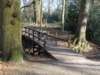 dscn1306_small.jpg