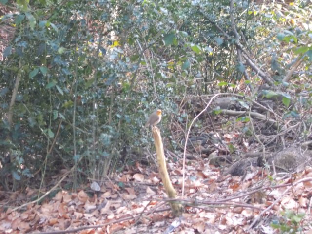 dscn1307.jpg