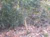 dscn1307_small.jpg