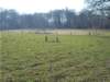 dscn1310_small.jpg