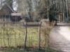 dscn1311_small.jpg