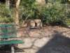 dscn1314_small.jpg