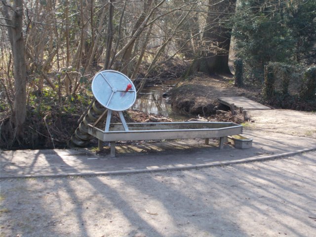 dscn1323.jpg