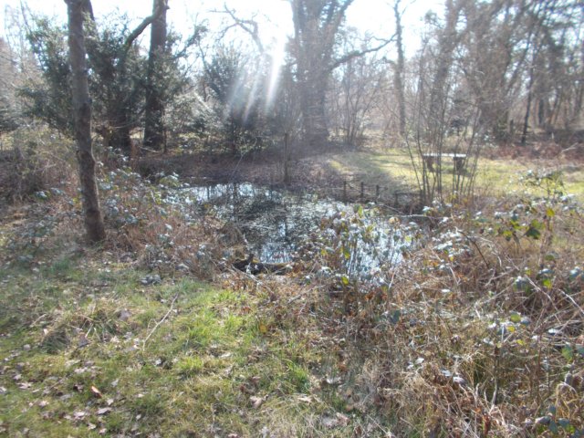 dscn1325.jpg