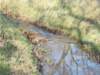 dscn1326_small.jpg