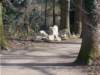 dscn1328_small.jpg