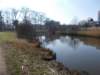 dscn1331_small.jpg