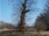 dscn1335_small.jpg