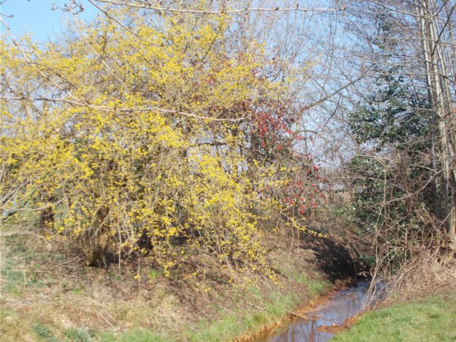 dscn1337.jpg