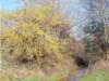 dscn1337_small.jpg