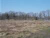 dscn1338_small.jpg