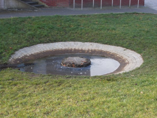 dscn1365.jpg