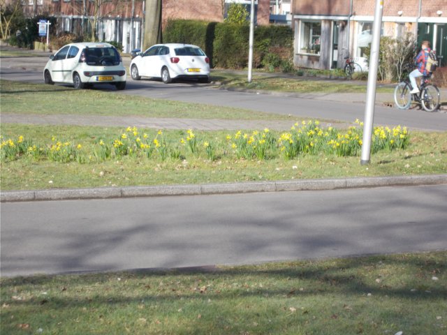 dscn1374.jpg