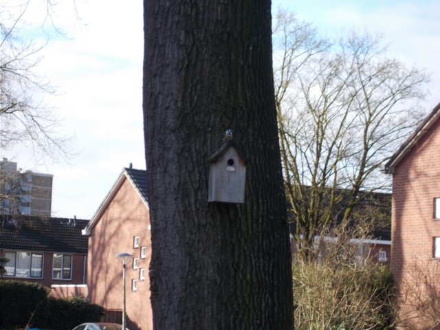 dscn1375.jpg