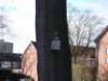 dscn1375_small.jpg