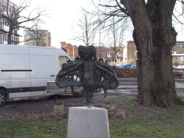 dscn1379.jpg