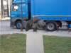 dscn1381_small.jpg