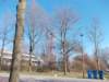 dscn0068_small.jpg