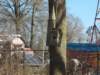 dscn0069_small.jpg