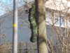 dscn0070_small.jpg