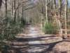 dscn0073_small.jpg