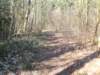dscn0074_small.jpg