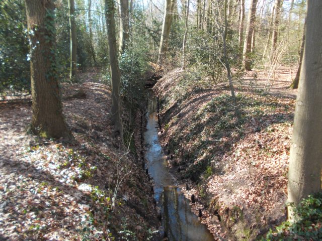 dscn0075.jpg
