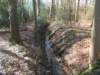 dscn0075_small.jpg