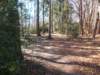 dscn0076_small.jpg