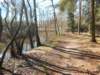 dscn0077_small.jpg
