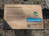 dscn0081_small.jpg