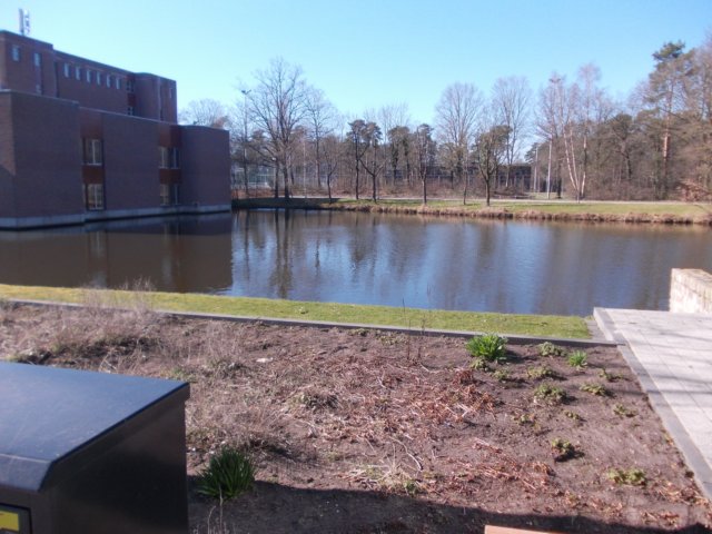 dscn0082.jpg
