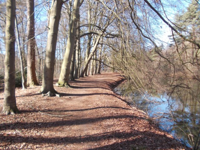 dscn0086.jpg