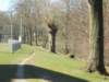 dscn0087_small.jpg