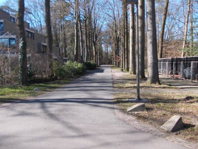 dscn0090.jpg